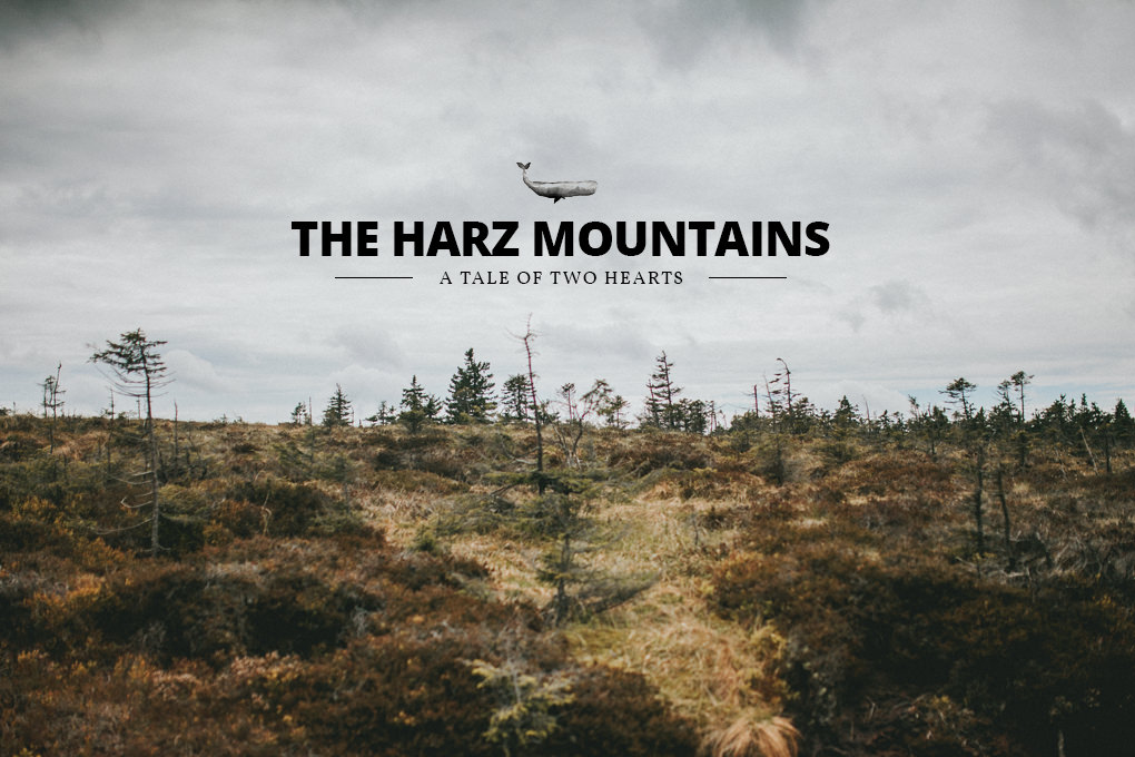 Urlaub im Harz 47