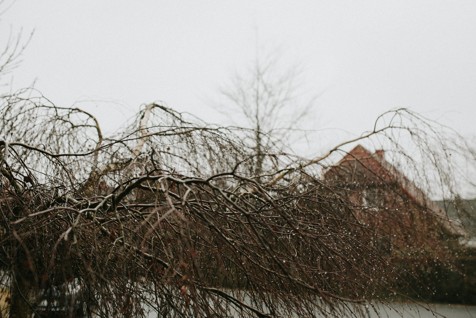 homestory-bremen-pärchen-fotos-001