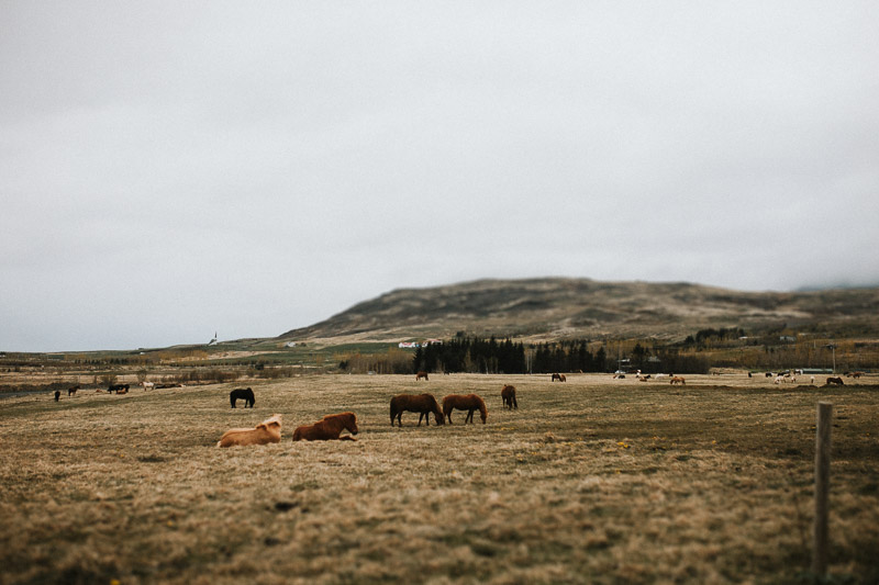 iceland-wedding-photographer-026