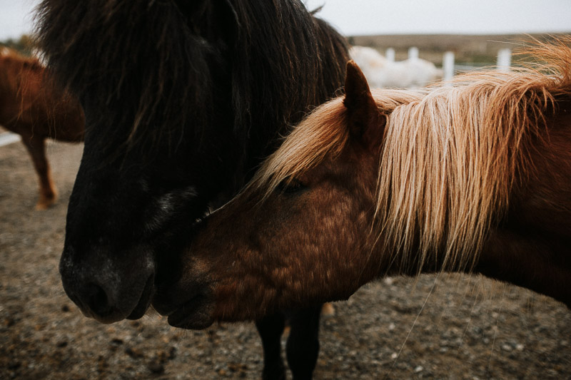 iceland-wedding-photographer-027